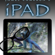 Illustration for article titled Improved iPad Gallery